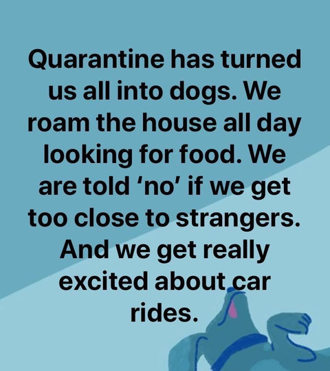 c8a8d9dc-ea14-4e2a-ba4f-42d0d29ce317